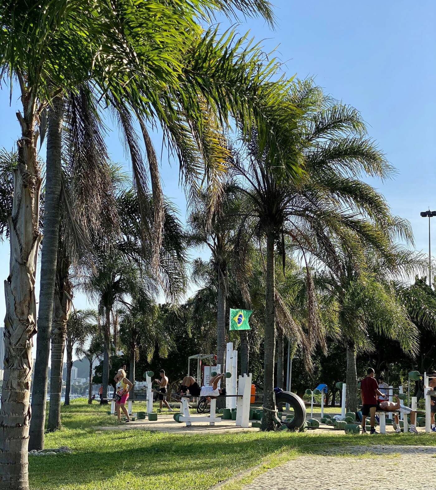 Outdoor gym park among palm trees